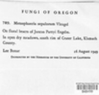 Image Associated With the Occurence